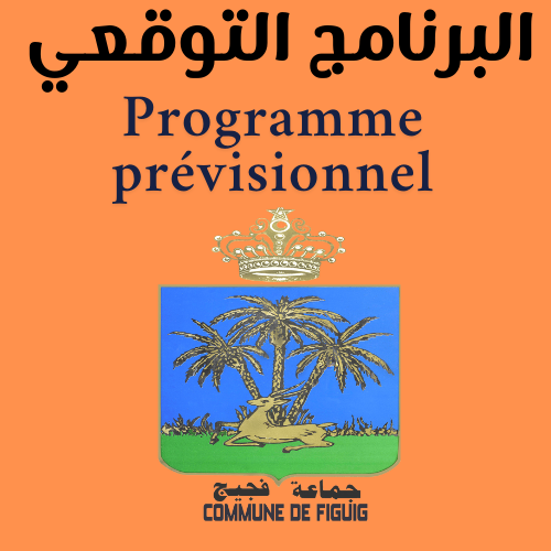البرنامج التوقعي المؤقت لمدة ثلاث سنوات